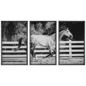 Galloping Forward- Framed Prints- Set of 3
